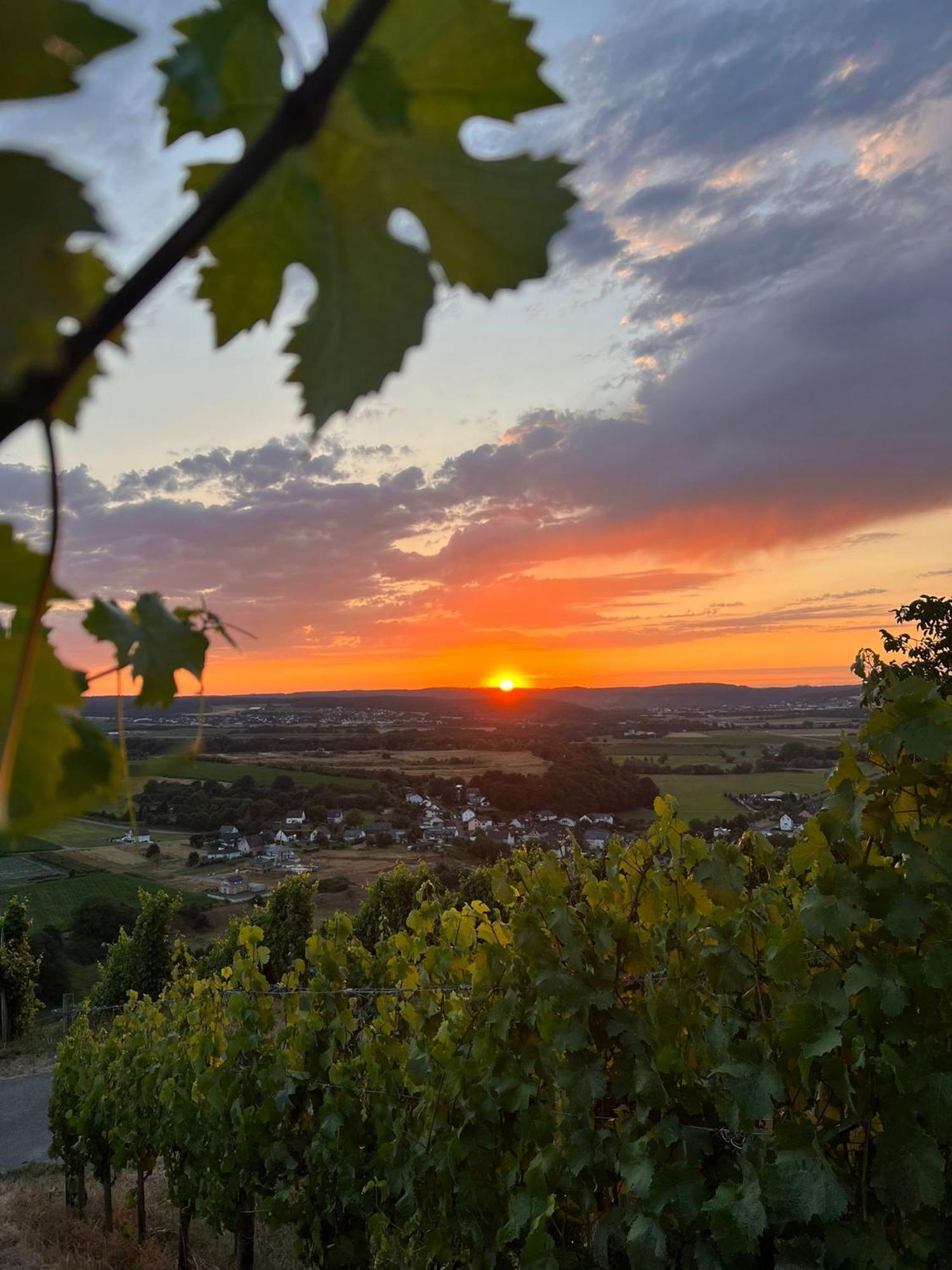 Weingut U. Gaestehaus Becker Platten Ngoại thất bức ảnh